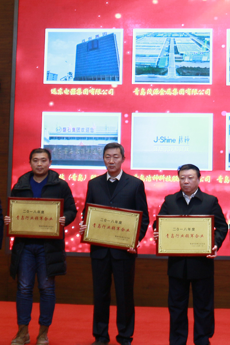 民營企業(yè)高質(zhì)量發(fā)展，德才集團再獲殊榮領(lǐng)跑民企(圖6)